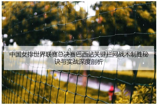 中国女排世界联赛总决赛巴西站关键拦网战术制胜秘诀与实战深度剖析