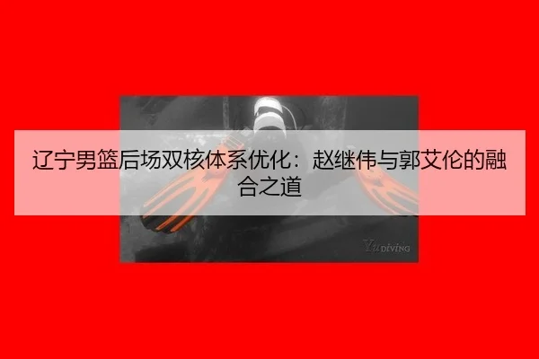 辽宁男篮后场双核体系优化：赵继伟与郭艾伦的融合之道