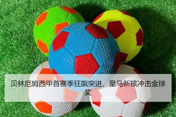bei-lin-e-mu-xi-jia-shou-sai-ji-kuang-biao-tu-jin-huang-ma-xin-he-chong-ji-jin-qiu-jiang-2-624.jpg