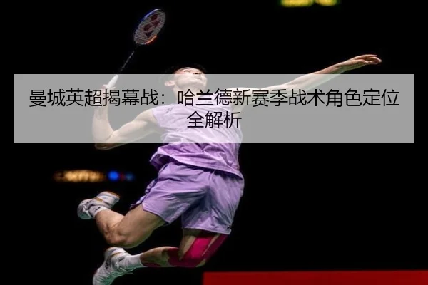 man-cheng-ying-chao-jie-mu-zhan-ha-lan-de-xin-sai-ji-zhan-shu-jue-se-ding-wei-quan-jie-xi-3-337.jpg