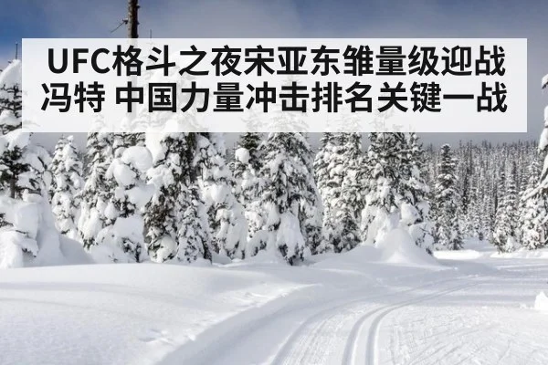 UFC格斗之夜宋亚东雏量级迎战冯特 中国力量冲击排名关键一战